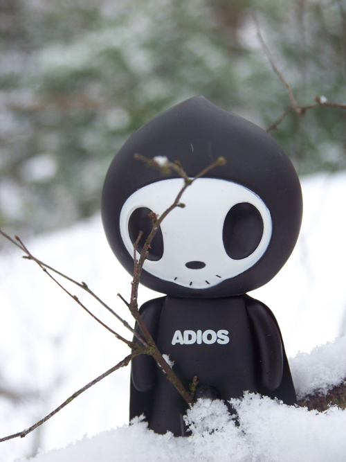 Adios in the snow